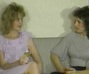 აღგზნებული დიასახლისები - 1987