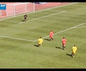თავმჯდომარის მოადგილე