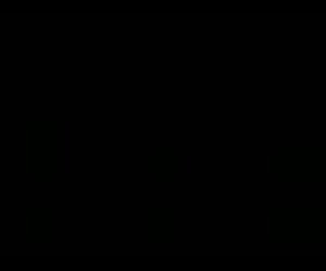 ინდონეზიის